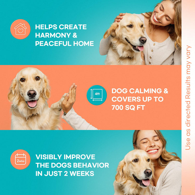 Calming atomizer for dog stress: Pheromone atomizer for dogs against anxiety - Comfort Dog Calm Pheromone Starter for home - lasts for 60 days BlueB - BeesActive Australia