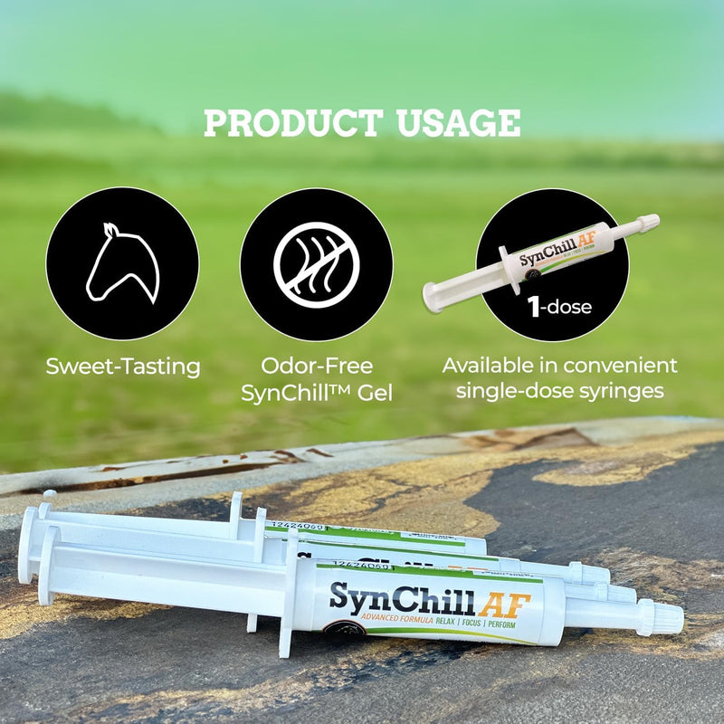 SynChill AF Calming Gel for Nervous Horses - Single Serving - Advanced Formula with L-Theanine, Increased Potency, 100% Natural Supplement, Disposition & Confidence Support for Horses - 3 Pack - BeesActive Australia
