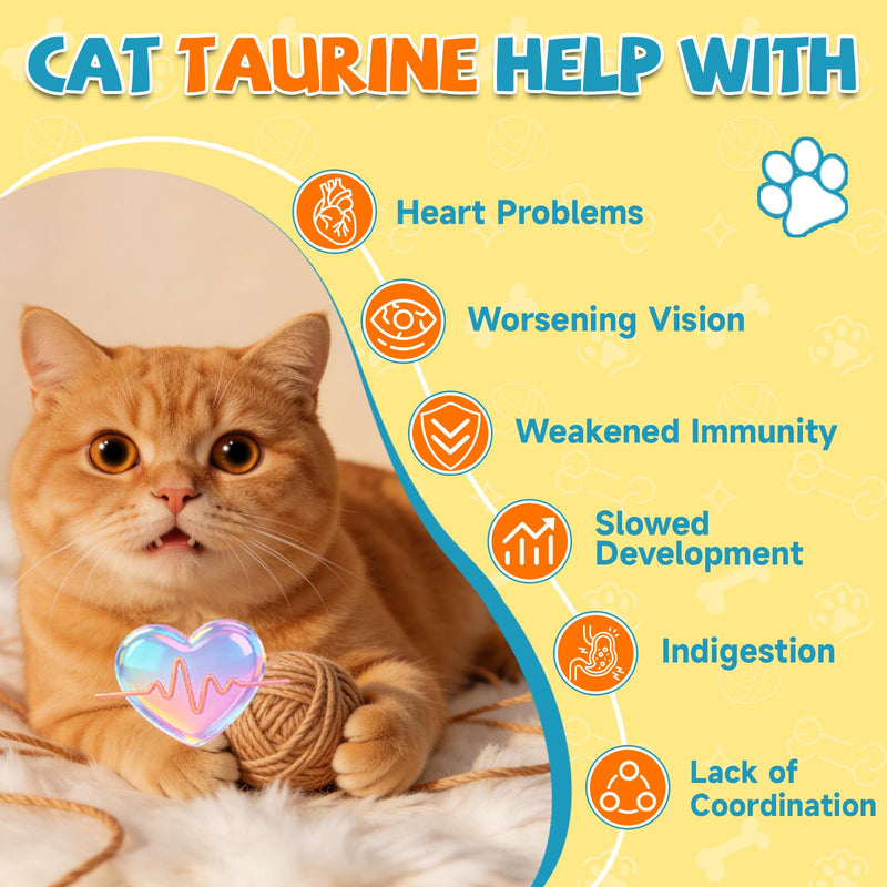 Taurine for Cats - Taurine Powder for Cats, Supports Feline Heart & Vision, Immune, Energy & Vitality, Coenzyme Q10, L-Carnitine, L-Lysine, Vitamin, Taurine Supplement for Cat Taurine Powder, 200g