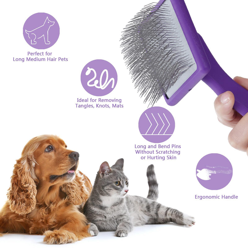 Dog Slicker Brush for Long Haired Dogs Doodle Brush for Dogs Large Dog Slicker Brush for Goldendoodles with Ergonomic Solid Wooden Handle Long Pin Grooming Brush for Dogs (Purple) Purple - BeesActive Australia