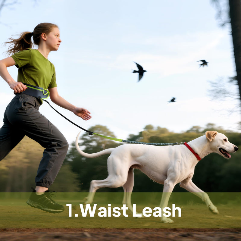 Hands Free Dog Leash with Zipper Pouch, Waist Leash for Dog Walking, Running and Hiking, Adjustable Belt with Handle, Reflective Bungee Design for Large & Medium Dogs Yellow