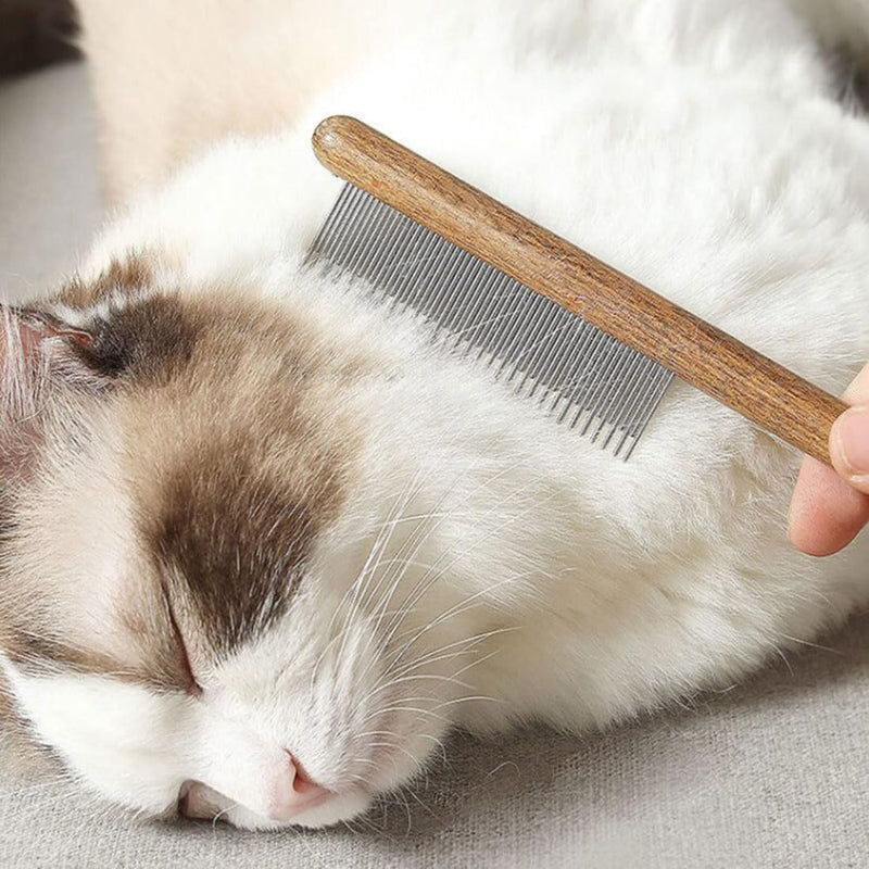 JOCXZI Long and short combs for cats, 2 pieces cat combs for domestic cats, stainless steel pet comb, skin-friendly, pet combs, steel tooth comb with wooden handle for cats, removes knots and tangles - BeesActive Australia