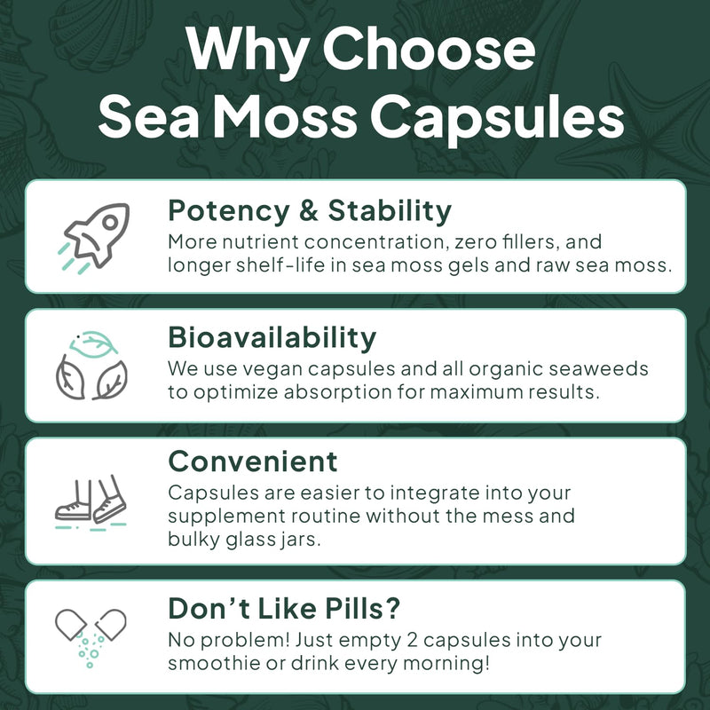 Organics Ocean Wild Sea Moss Capsules - 100% Organic Irish Sea Moss with Organic Chlorella, Bladderwrack and Vitamin D for Energy, Lung Health and Thyroid Support for Women and Men - 60 Capsules 60 Count (Pack of 1)