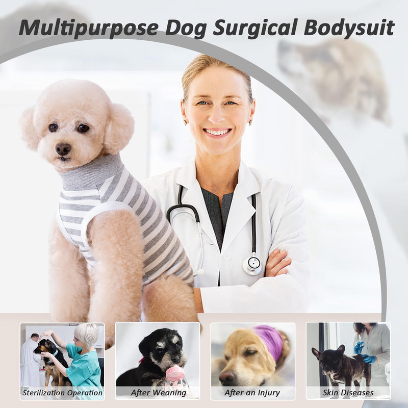 Lyneun Soft dog bodysuit after surgery, dog bodysuit after castration male dogs, breathable dog one-piece recovery suit for hair loss, allergies, anti-licking, wound protection, cone alternative (grey, M) grey - BeesActive Australia