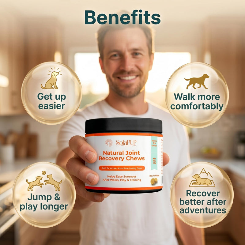 SolaPup® Hip & Joint Chews for Dogs | 120 Soft Mobility & Recovery Chews for Active Dogs | Glucosamine, Chondroitin, Turmeric & Green Lipped Mussel | Bacon Flavor | Made in USA | Gluten & Chicken Free