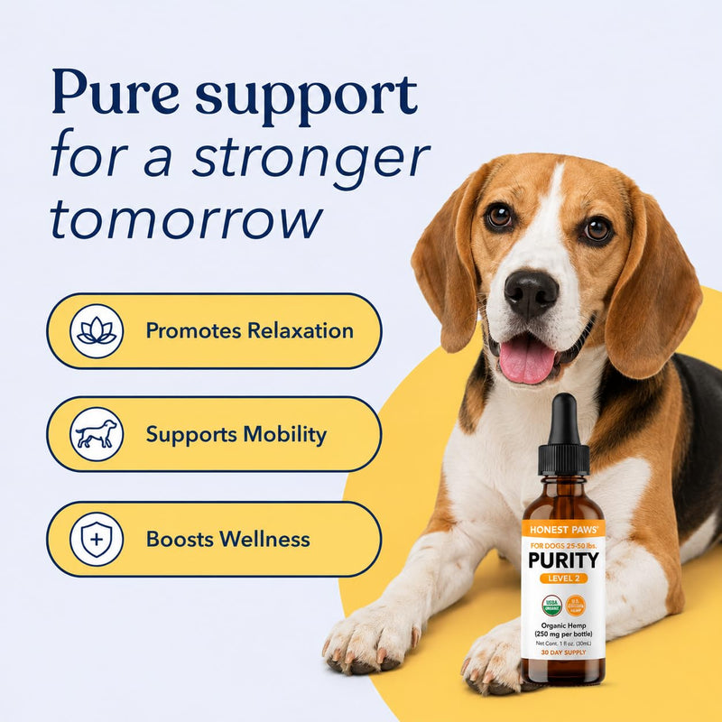 Honest Paws Hemp Oil for Dogs - Natural Hemp Seed Oil Drops Rich in Omega 3 6 9 - May Help Support Calm Behavior, Physical Comfort & Overall Wellness - Made in USA Level 2