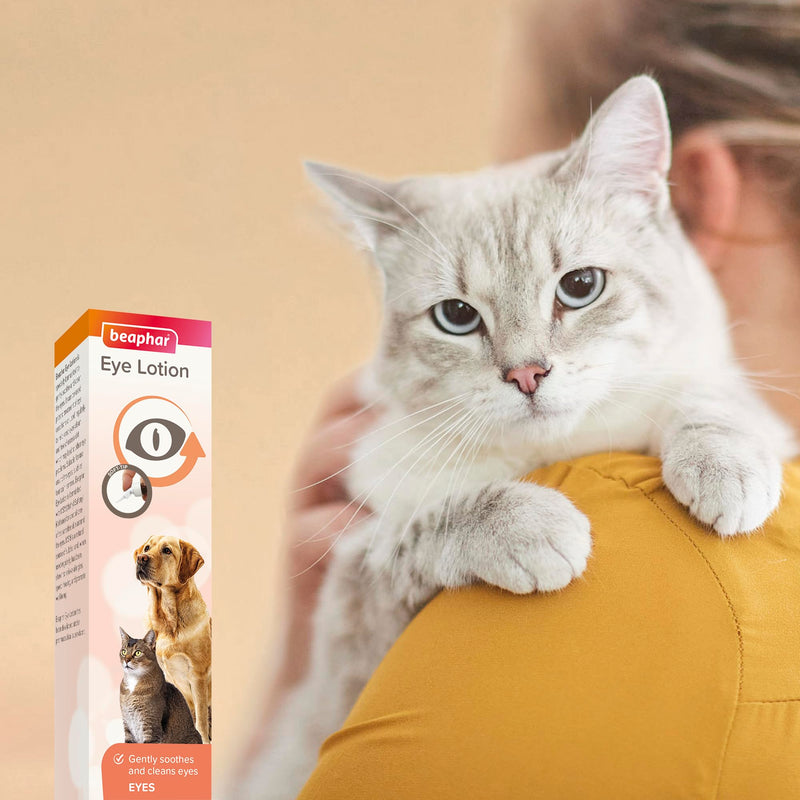 Beaphar Eye Lotion for Cats and Dogs, Cleans and Supports Sensitive Eye Area, Moisturises and Rejuvenates, Removes Tear Stains, Easy-to-Use Lotion, 50 ml