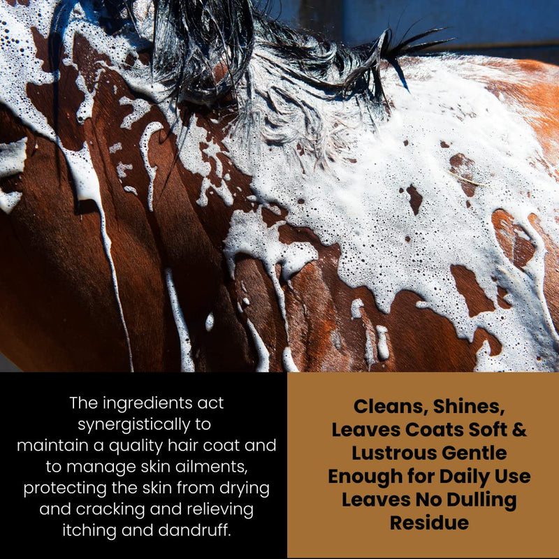 Corakko - Horse Shampoo - Premium Therapeutic Skin Care Formula - Nano-Copper Technology - Leaving Coat Conditioned & Protected against Skin Funk, Itching, Bites, & Preventing Skin Ailments - 32oz - BeesActive Australia