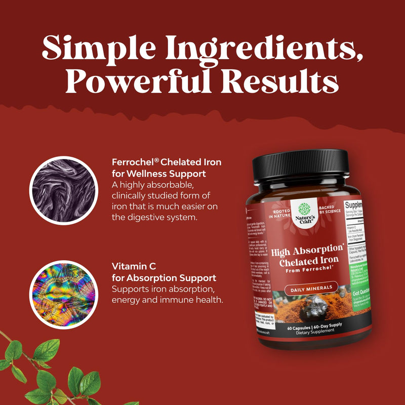 Slow Release Iron Supplement for Women & Men - Supports Health - Blood Support Iron Bisglycinate with Vitamin C - Gentle Energy & Immune Support - High Absorption Ferrous Bisglycinate - 60 Ct - 3pk 60 Count (Pack of 3)