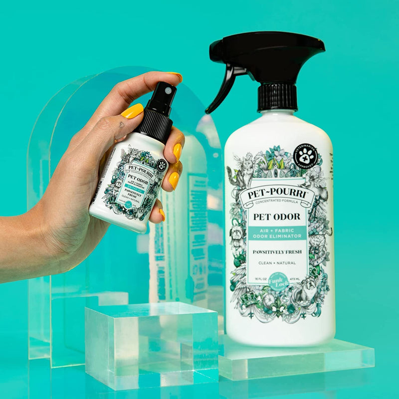 Pet-Pourri Pet Odor Air + Fabric Odor Freshener Spray, Pawsitively Fresh, 16 Fl Oz - BeesActive Australia