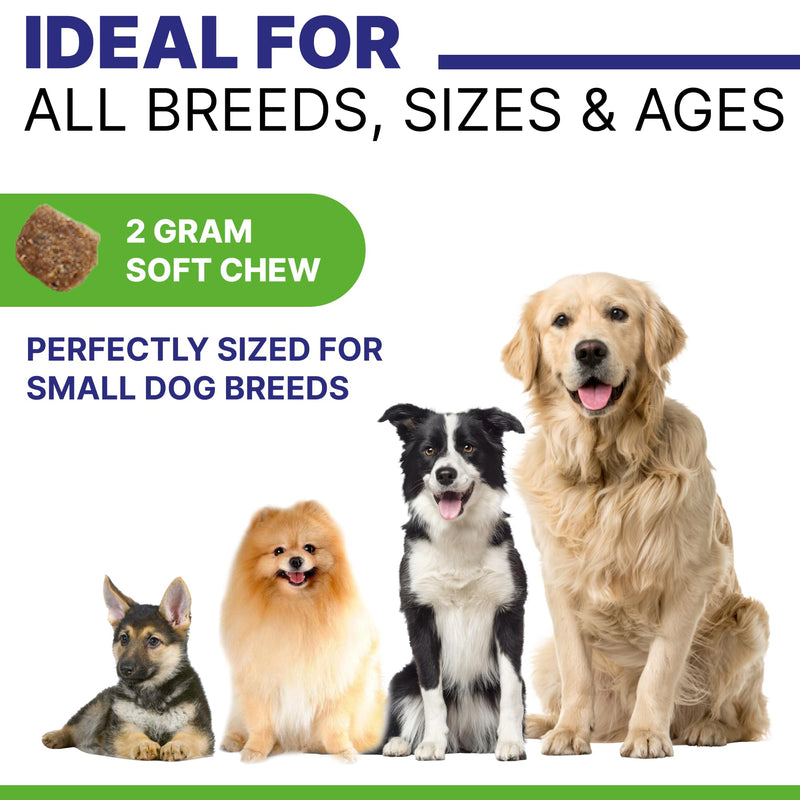 NO Poo Chews for Dogs - Prevent Dog Poop Eating - Coprophagia Treatment - Stool Eating Deterrent - Digestive Health + Breath Aid/Probiotics & Enzymes - Made in USA - 120 Treats 120 No Poo Chews - PawsPlanet Australia