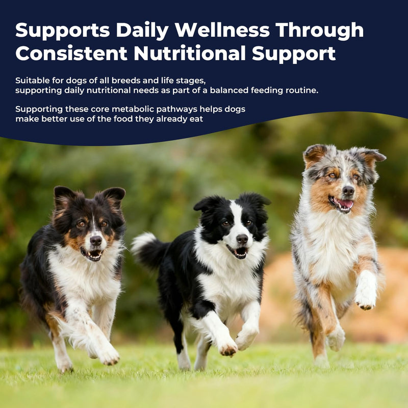 Zinc Drops for Dogs – Daily Mineral Support for Immune Balance & Skin Health, Liquid Zinc Supplement, Easy to Mix, Bacon Flavor, 2 fl oz (60 mL)