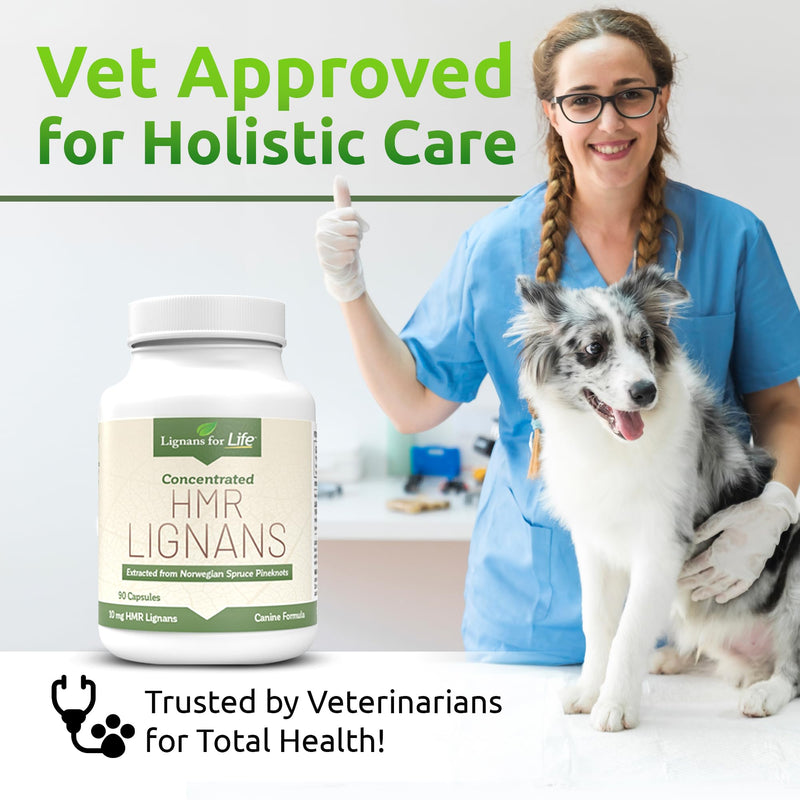 Lignans For Life HMR LIGNANS 10mg Capsules - Perfect for Small Dog Breeds - Vitamin for Healthy Pet | Multivitamin | Wellness Supplement | Nutritional 10mg, 90 Capsules