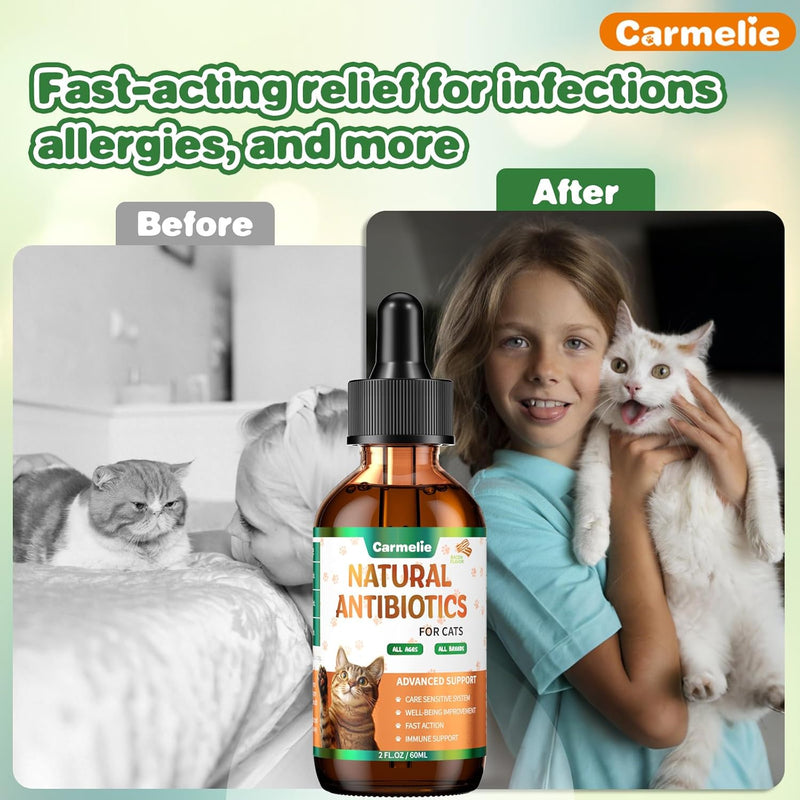 Antibiotics for Cats - Natural Cat Antibiotics for Allergy Itch Relief, Immune Boosting - Antibiotics for Immune Boosting, Urinary Tract Infections - Supplemental Vitamins for Cat and Dog, 2 fl oz - BeesActive Australia