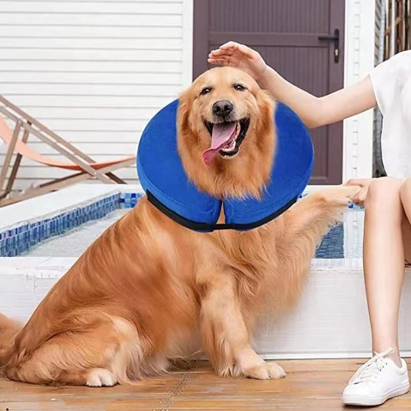 HTTDSLF Neck Brace Dog Collar, Protective Dog Collar, Dog Collar Leak Protection, Inflatable Neck Brace Dog, Neck Brace Cat Leak Protection Dog, Inflatable Neck Brace for Dogs (Blue, M) Blue - BeesActive Australia