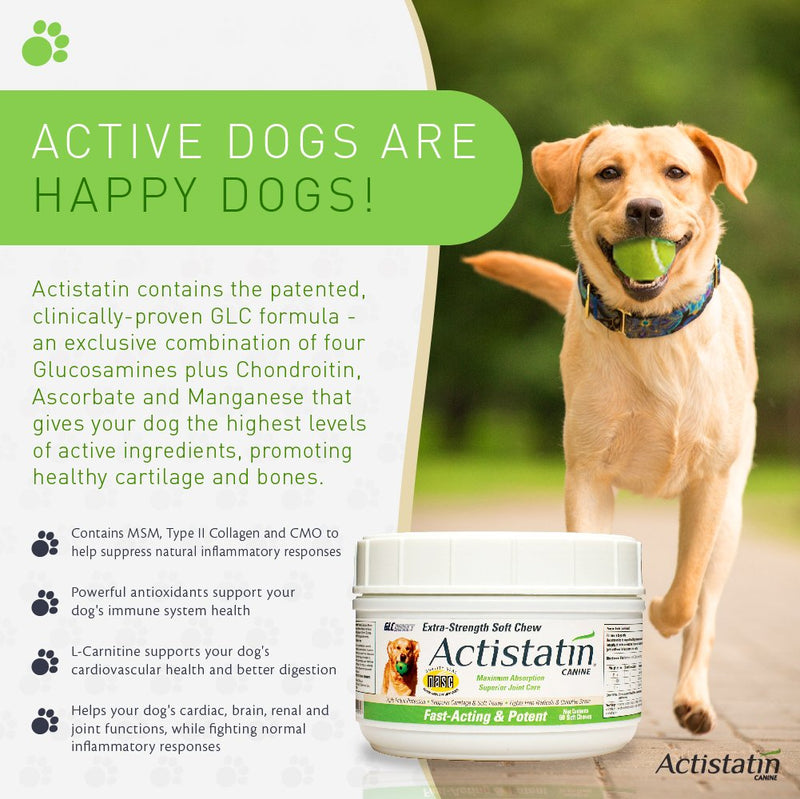 Canine Large Dog Soft Chews, 60ct – Patented Extra-Strength Joint, Cartilage, Soft Tissue Supplement: Glucosamine, Chondroitin, Manganese, MSM, L-Carnitine – High Absorption, Fast Results 60 Soft Chews - BeesActive Australia