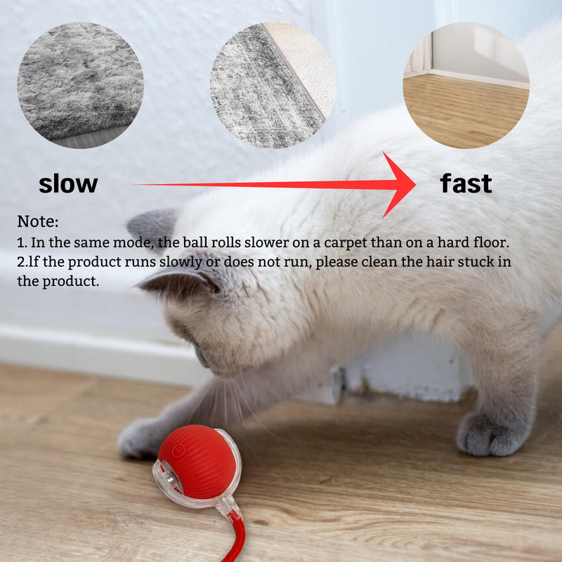 Interactive Rolling Cat Ball, 2025 New Electric Rolling Ball Cat Toy, Interactive Cat Dog Toys Ball,360° Smart Automatic Rolling Pet Ball, Fast Rolling Toy for Dog and Cat Red - BeesActive Australia