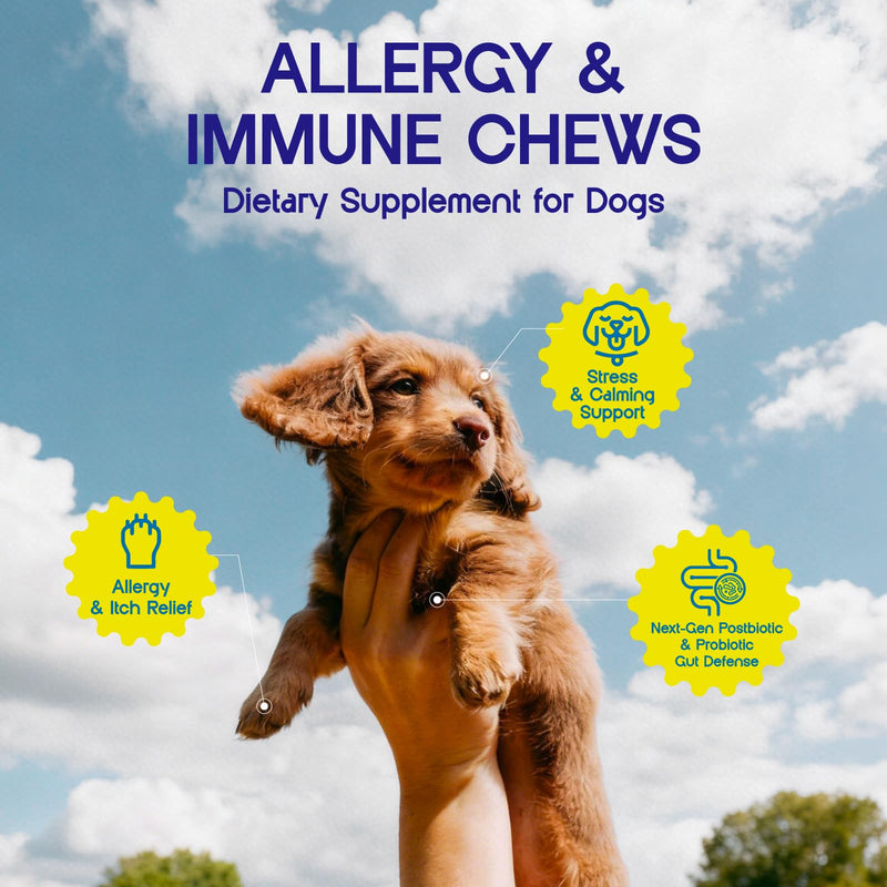 Dog Allergy Chews - Allergy Relief & Immune Support - Calming Aid & Itchy Skin Care with Probiotics for Itchy Ears, Anxiety, Dry Skin, Paw Licking & Stress - 60 Soft Treats