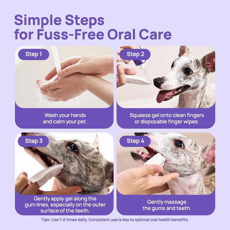 HICC PET Dog Dental Gel for Dogs & Cats, No-Brush Teeth Cleaning Gel, Dog Breath Freshener, Reduce Plaque & Tartar, and Support Gum Comfort, Daily Use Oral Care, 60ml, Natural Ingredients