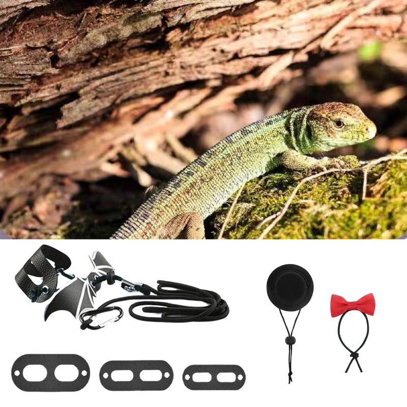 Bearded Dragon Leash Harness, 3 Size Pack Leather Wing Lizard Harness with Hat & Bow Tie Collar for Bearded Dragon Lizard Reptiles Small Pets Photo Props (Black) Black - BeesActive Australia