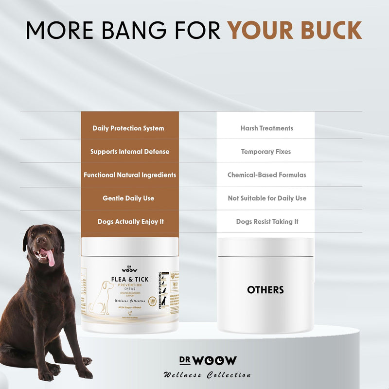 Dog Flea & Tick Prevention Chews – Daily Defense Supplement for Parasites, Gut & Immune Support – Natural Formula Soft Chews – Made in USA – Dr. Woow (120 Ct) Flea & Tick Relief