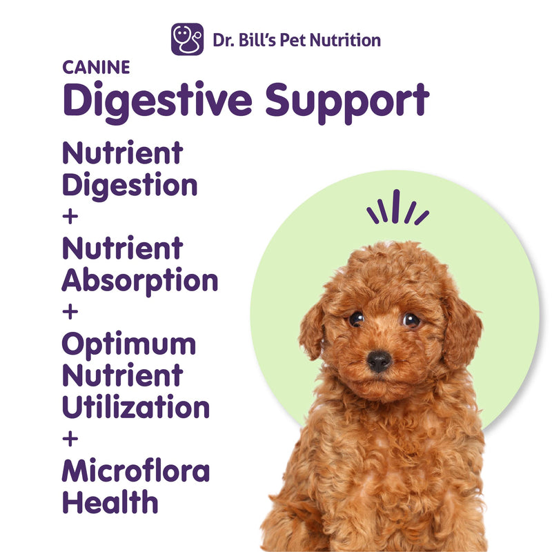 Dr. Bill’s Canine Digestive Support | Probiotics & Prebiotics for Dogs | Gut Health Pet Supplements | Contains Ginger Root, Psyllium Husk, Lemon Balm and Bifidobacterium - PawsPlanet Australia