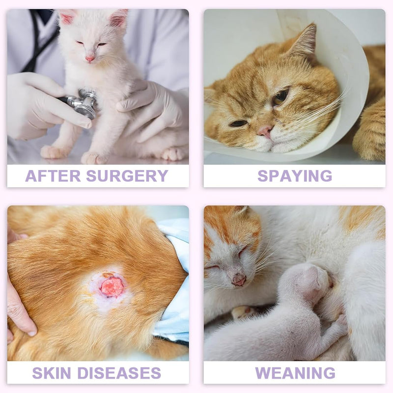 KOLZEMV Cat Bodysuit Cat Bodysuit After Surgery Cat Bodysuit for Cats Surgery Cat Clothing Neck Brace Alternatives for Cats Dogs Cat Suit After Surgery Anti-Leak Suit Cat Pajamas (M) M Purple - BeesActive Australia