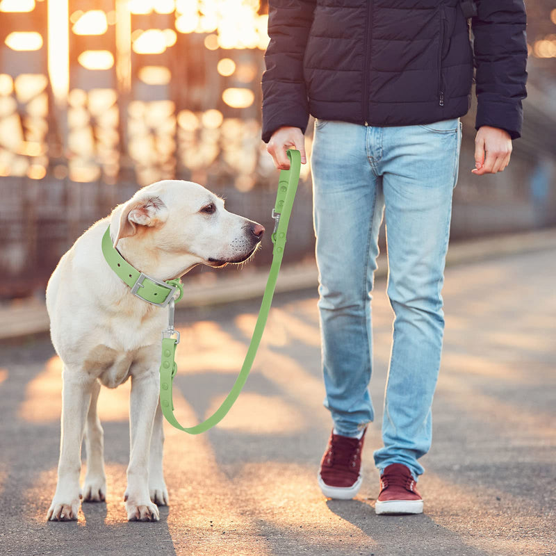 Wisedog Waterproof Standard Dog Leashes with 2 Hooks, 5 ft/ 6 ft Lengths, Adjustable for Traffic Control Safety, for Small, Medium & Large Dogs Walking (Sage Green,L) L|3/4 in × 6 ft Sage Green - BeesActive Australia