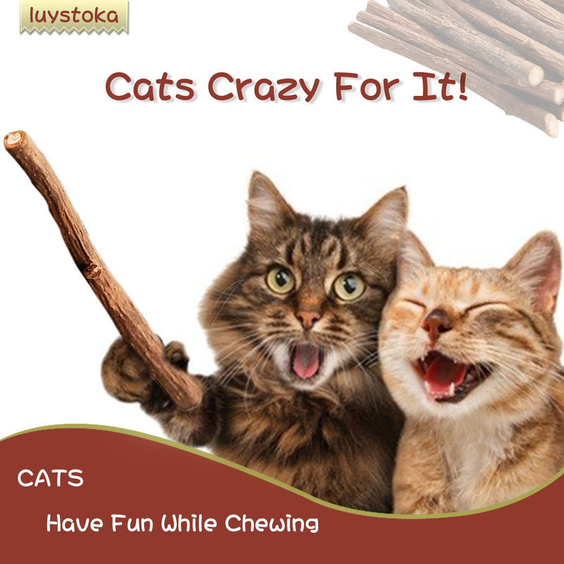 Silvervine for Cats, Cat Chew Stick, Catnip Toys Matatabi Wooden Sticks (25pcs) 25pcs - BeesActive Australia