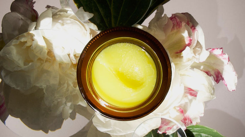 True Botanicals Ginger Turmeric Cleansing Balm | Natural Hydrating Facial Cleanser + Makeup Remover for Dry & Sensitive Skin | Nourishing Oil Cleanser with Ceramides & Antioxidants | Vegan | 3.4 fl oz