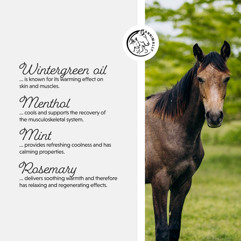 Annimally Horse Balm 500 ml - Cooling & Warming Care Gel, Two-Phase Formula for Muscles, Tendons & Ligaments, with Menthol, Wintergreen Oil, Rosemary & Mint, Made in Germany