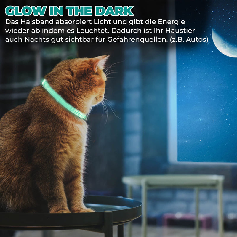 Tick collar for cats and small dogs | Luminous prevention collar against parasites with up to 8 months of protection | Fluorescent collar universally adjustable to any size - BeesActive Australia