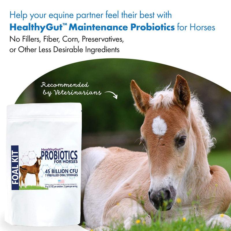 HealthyGut Foal Kit for Horses Dietary Supplement, All-Natural Formula (14 g) 1 Week - BeesActive Australia