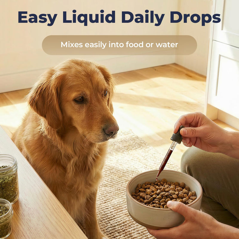 Dandelion Root Drops for Dogs – Herbal Liver Support & Digestive Support for Dogs, Supports Metabolic Balance & Daily Vitality, Liquid Dog Supplement, Gentle Daily Wellness Drops, 2 fl oz (60 mL)