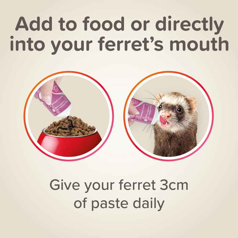 Beaphar Vitamin/Malt Paste for Ferrets 100 g (Pack of 3)