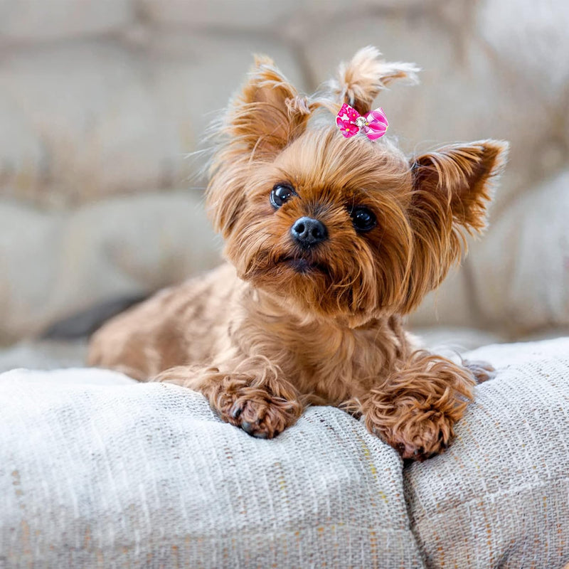 30PCS/15PAIRS Valentine's Day Dog Hair Bows with Rubber Bands Bowknot Top Knot Elastic Pink Red for Doggy Puppy Poodle Grooming Accessories Valentine's Day 30PCS - BeesActive Australia