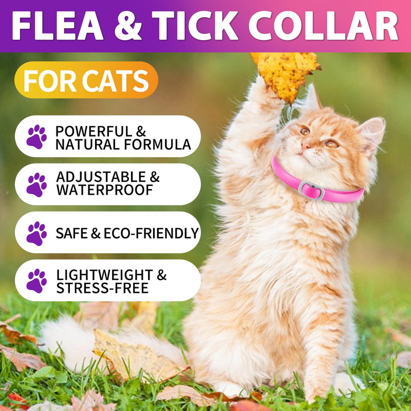 Tick flea collar for cats, tick collar for cats, flea collar for cats, 4 pieces, effective protection for 24 months, adjustable, waterproof (pink and purple). - BeesActive Australia