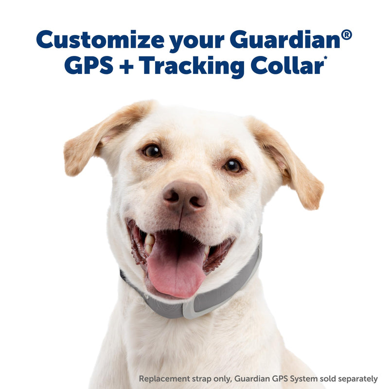PetSafe Replacement Strap for Guardian GPS + Tracking Dog Fence Collar, Made with Soft-Touch Nylon for Enhanced Comfort and Long-Lasting Wear - Water-Wicking, Waterproof Material, Pink Gray - BeesActive Australia
