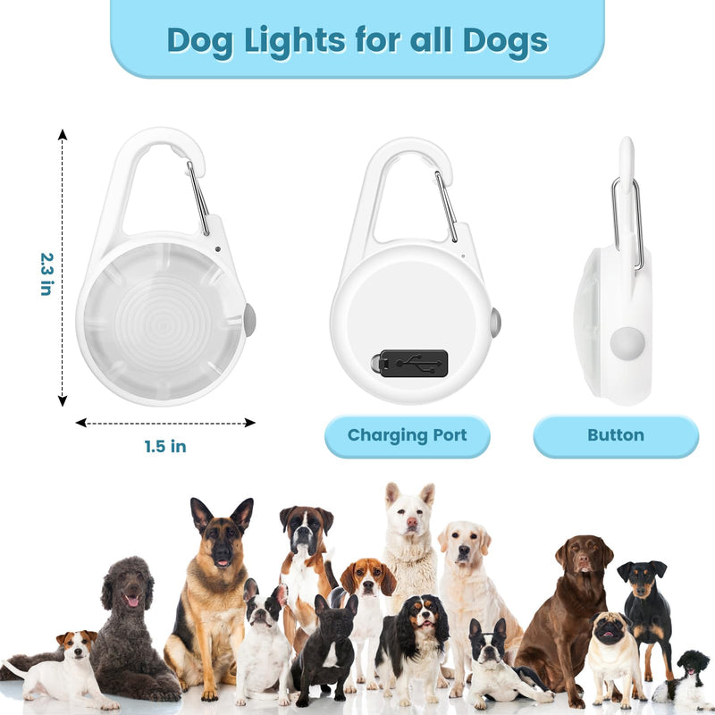 Dog Lights 2Pack LED Rechargeable Dog Collar Lights Clip on with RGB Color Pet Safety Lights Illuminate Illuminated Dog Harness Light for Night Hiking Camping White - BeesActive Australia