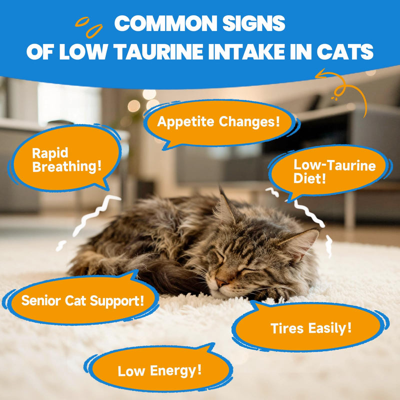 Taurine for Cats - Taurine Supplement for Cats Heart Health, Cardiac Function, Immune System Support - with L-Carnitine, CoQ10, Omega-3, L-Arginine - 60ML, Roast Chicken Flavor