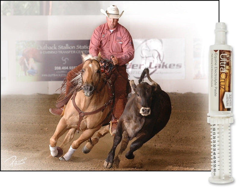 UltraCruz sc-516041 Equine Electrolyte Supplement for Horses, 60 ml, Paste - BeesActive Australia