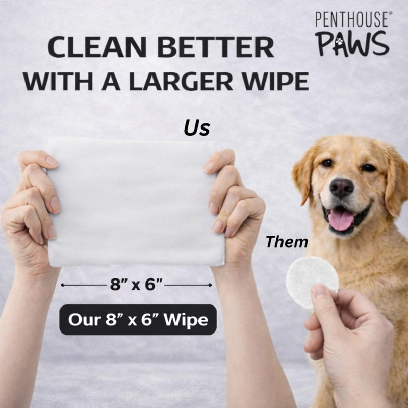 PENTHOUSE PAWS Pet Ear Wipes for Dogs & Cats, Unscented Ear Cleaning Wipes with Aloe Vera & Witch Hazel, Alcohol-Free Extra Large 8”x6” Wipes for Removing Wax, Dirt & Odor, 80 Count