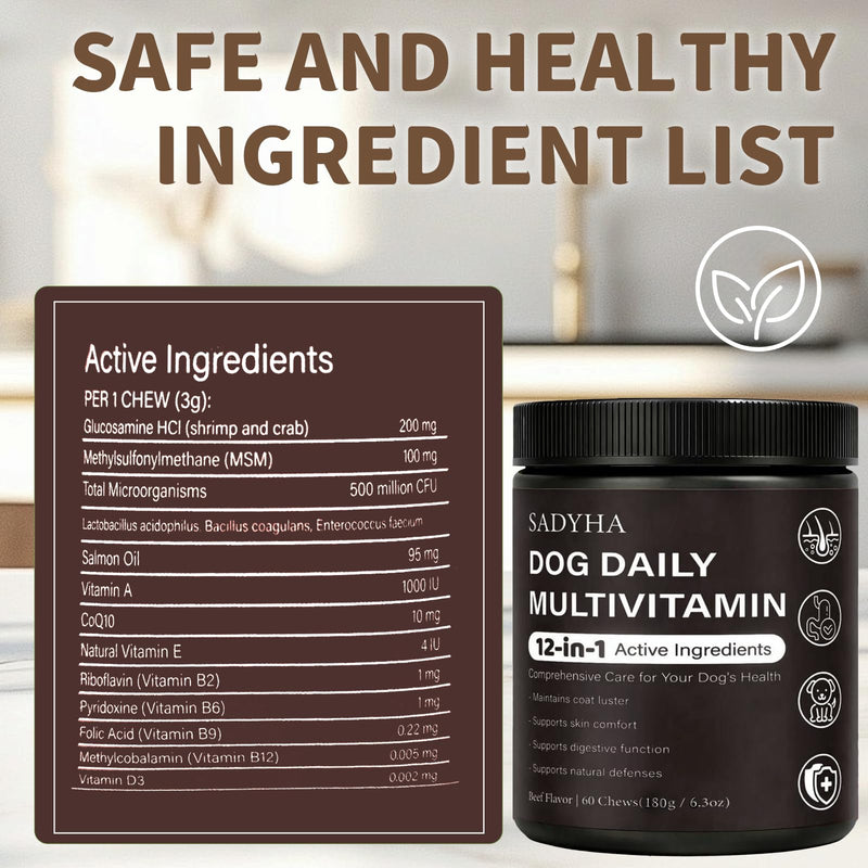 Daily Multivitamin Chews for Dogs, Itch & Skin Support with Salmon Oil, Folic Acid & Chondroitin, Supports Healthy Skin, Coat, Immunity & Digestion, 60 Count Beef Flavor (01) 1