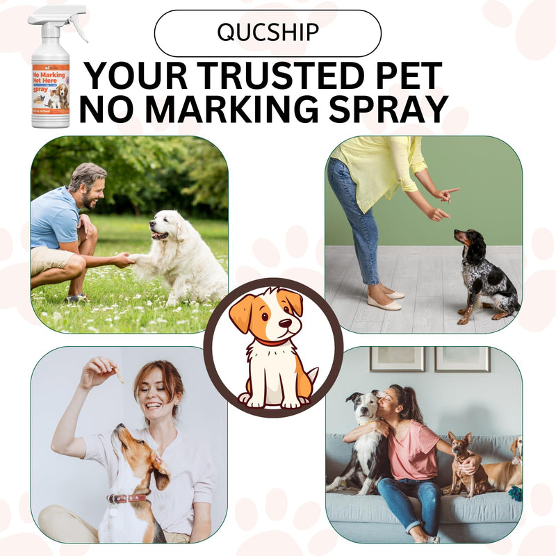 16oz Stay Away Here Pee Spray to Train Dogs for Outdoor Pee, Stop Dogs from Urinating Indoors, Not Here Dog Spray, Effective Dog Stay Away Spray for Training 16.0 Fl Oz