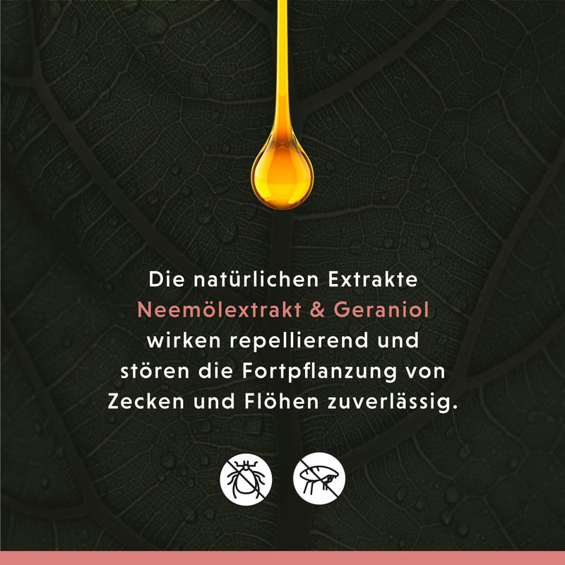 Annimally Anti Tick and Flea Shampoo Dog - Shampoo against ticks, fleas and mites for dogs - Dog shampoo with neem extract (500ml) - BeesActive Australia