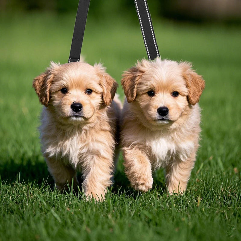 Two Point Control Dog Leash Double Dog Leash Reflective Walking No Tangle Dog Training Leash Dual Reflective Dog Leash No Pull Padded Handles for 2 Dogs - BeesActive Australia