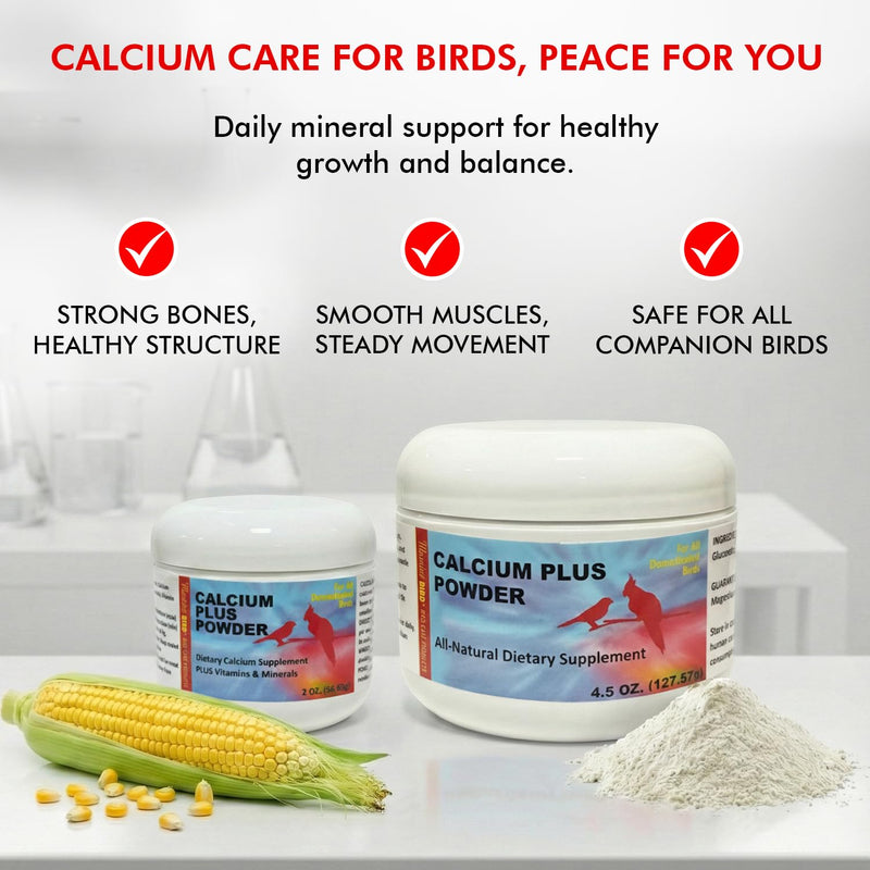 Morning Bird Calcium Plus Powder for Birds 4.5 oz – Calcium Supplement with Essential Vitamins & Minerals – Supports Bone Health, Muscle Function & Digestive Balance – Easy-to-Mix Calcium Formula