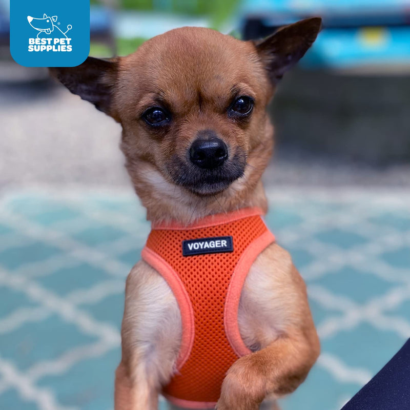 Voyager Step-In Air Dog Harness by Best Pet Supplies - All Weather Mesh Step in Vest Harness for Small and Medium Dogs, Orange, size XS - Chest 33-37 cm Orange (matching hem) XS (Chest: 13 - 14.5") - BeesActive Australia