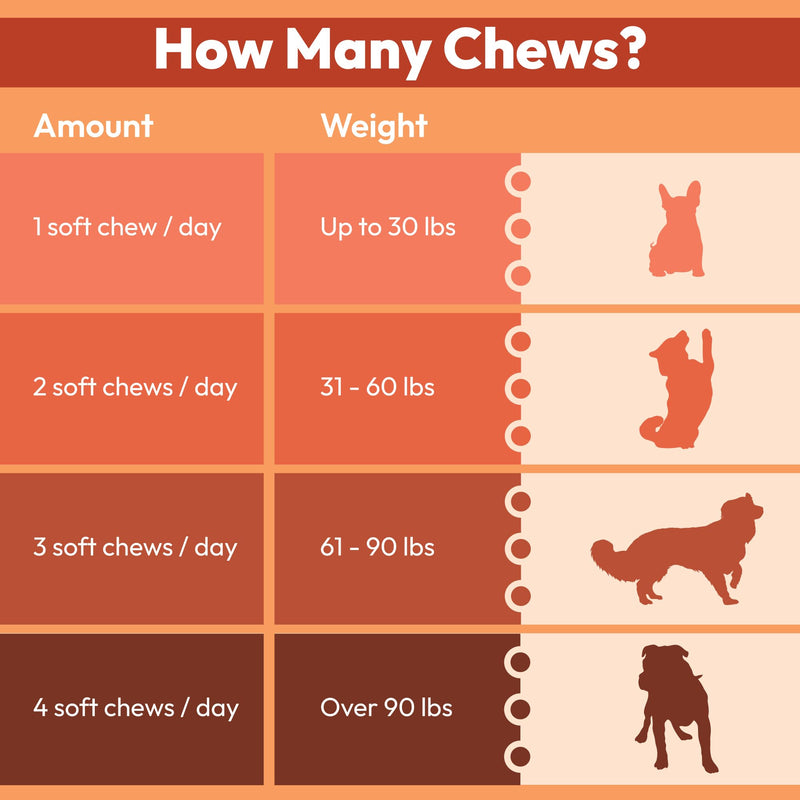 Anti-Aging Chewable Supplement for Dogs with Curcumin, Taurine, Trans-Resveratrol – Science-Backed Ingredients for Dogs to Support Aging, Wellness and Vitality - PawsPlanet Australia