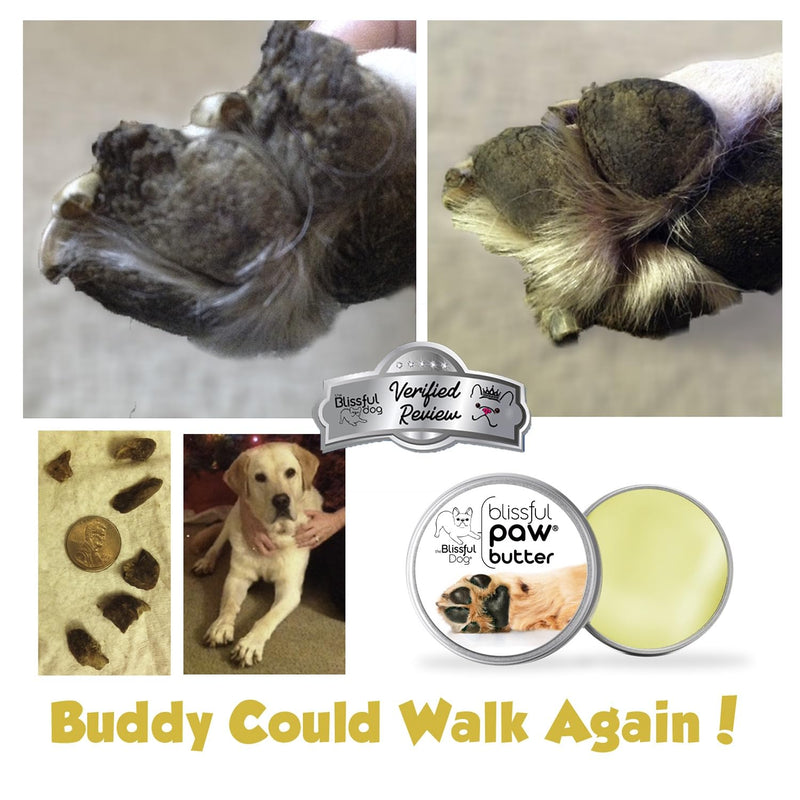 The Blissful Dog Paw Butter, Moisturizer for Dry Paw Pads, Softens and Protects a Rough Paw in Winter, Versatile, Lick-Safe Dog Paw Pad Balm, 1 oz. - PawsPlanet Australia